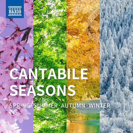 另类国产淫词秽语
